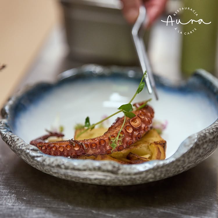 Danie Restauracji Aura